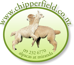 Chipperfield Alpacas Logo. Chipperfield alpacas for coloured suri alpacas