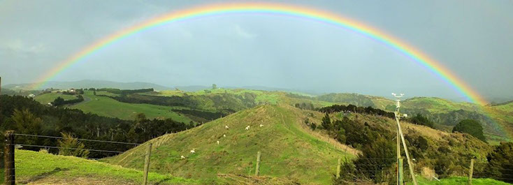 Various views of Chipperfield Alpacas
